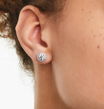 Load image into Gallery viewer, Oleander Earrings
